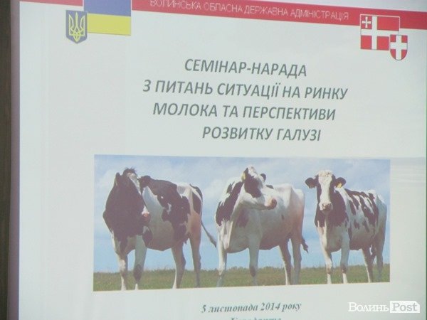 На Волині найнижчі ціни на прийом молока. ФОТО