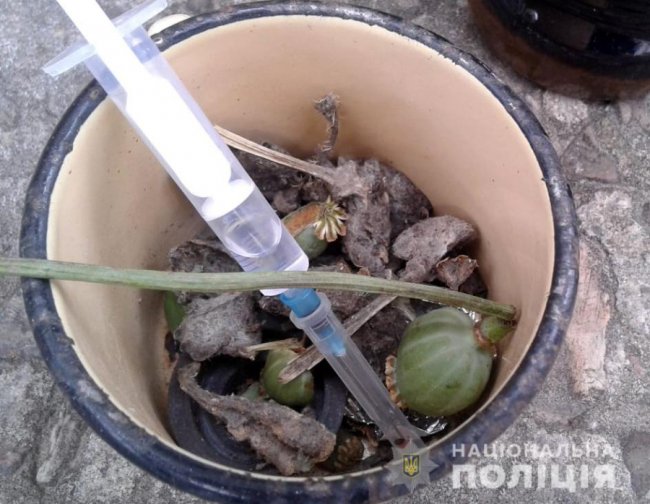 На Волині жінки організували банду для наркоторгівлі