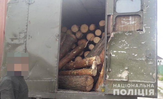 На Волині зупинили водія вантажівки, який перевозив деревину без документів. ФОТО