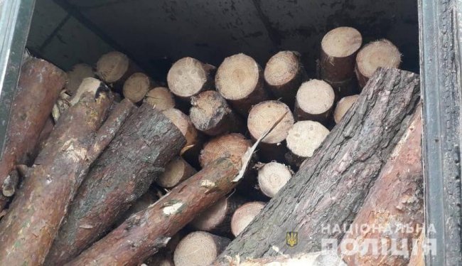 На Волині зупинили водія вантажівки, який перевозив деревину без документів. ФОТО
