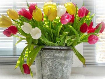 7 березня – яке сьогодні свято та що не можна робити в цей день