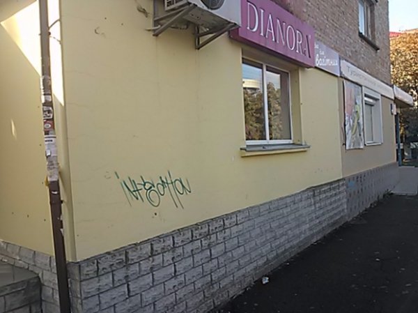 У Луцьку перевірили благоустрій. ФОТО