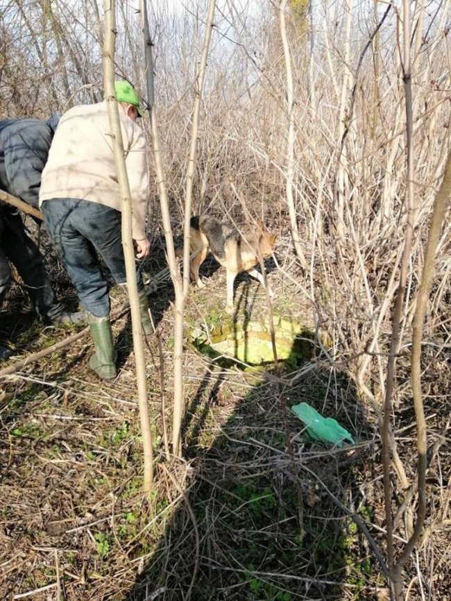 У селі під Луцьком врятували пса, який провалився у закинутий колодязь. ФОТО