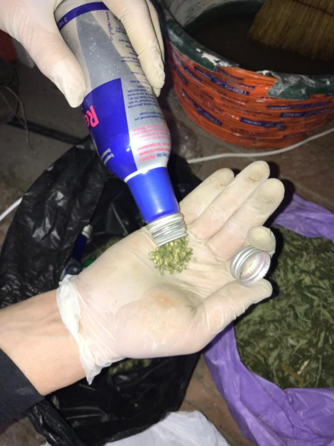 Луцького наркоторговця взяли під варту