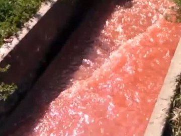 У одному з каналів Володимира-Волинського тече рожево-червона вода