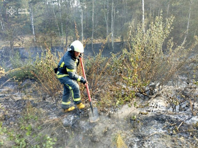 На Волині ліквідували масштабну пожежу сухої трави