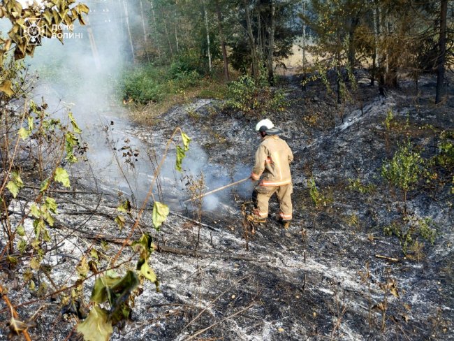 На Волині ліквідували масштабну пожежу сухої трави