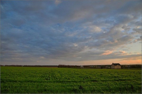 В Україні жнива: чому хліб наших бабусь – найсмачніший. ФОТО