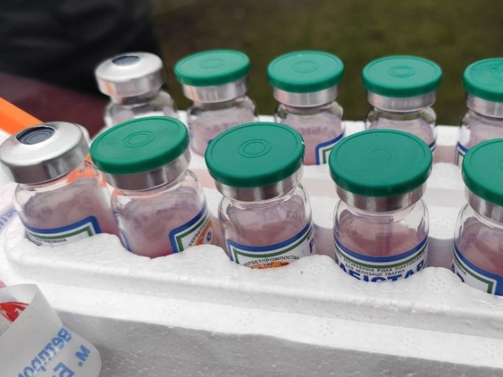 Сказ на Наливайка у Луцьку: скільки тварин вакцинували проти початку карантину