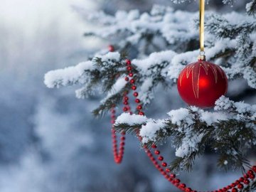 Погода в Луцьку та Волинській області на вівторок, 29 грудня