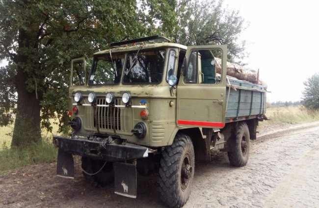 Волинські прикордонники затримали вантажівку з деревиною