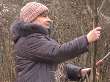 Лучанка з отруйного борщівника виготовляє музичні інструменти. ВІДЕО