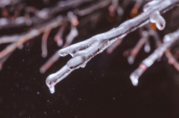 Фотовиставка Дмитра Лисюка