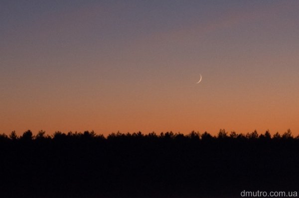 Фотовиставка Дмитра Лисюка