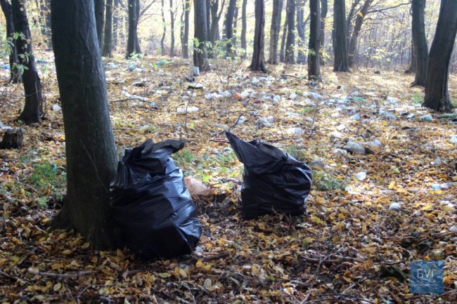 Вивезли цілий припіч сміття: як на Волині прибирали ліс. ФОТО