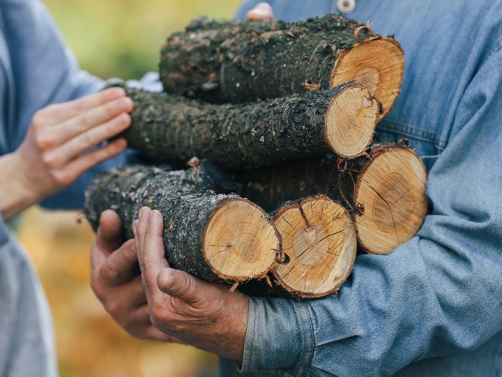 Дрова на опалювальний сезон: актуальні ціни й норми відпуску