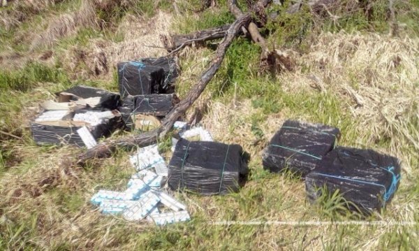 У Любомлі контрабандисти намагалися знищити докази. ВІДЕО. ФОТО