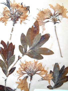 Куди піти на вихідні у Луцьку: 16 – 18 серпня