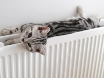 Показали, як у Луцьку зросли тарифи на опалення