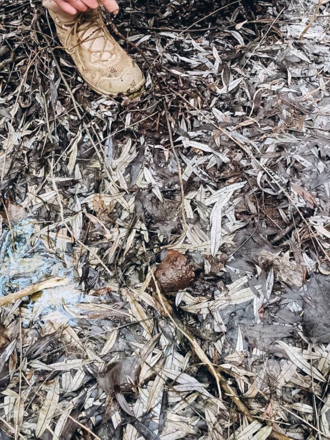 На Волині знайшли вибухонебезпечний предмет 