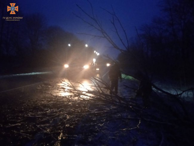 На Волині вночі негода повалила дерева на проїжджу частину. ФОТО