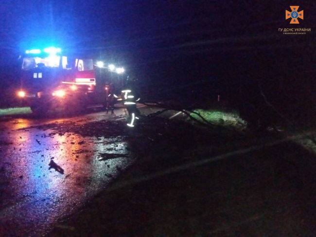 На Волині вночі негода повалила дерева на проїжджу частину. ФОТО