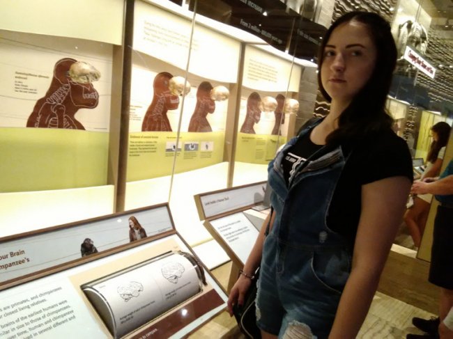 Музей природної історії