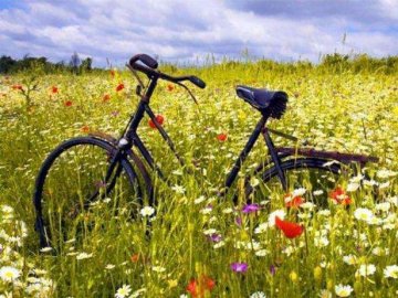 14 червня – яке сьогодні свято: традиції, заборони і прикмети