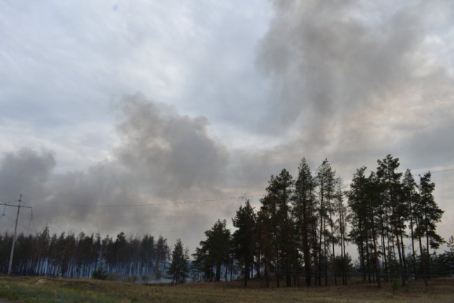 З ротації повернулися волинські сапери, які працювали на Донеччині