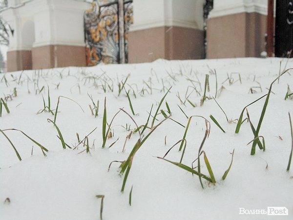 Луцьк засипало снігом. ФОТО