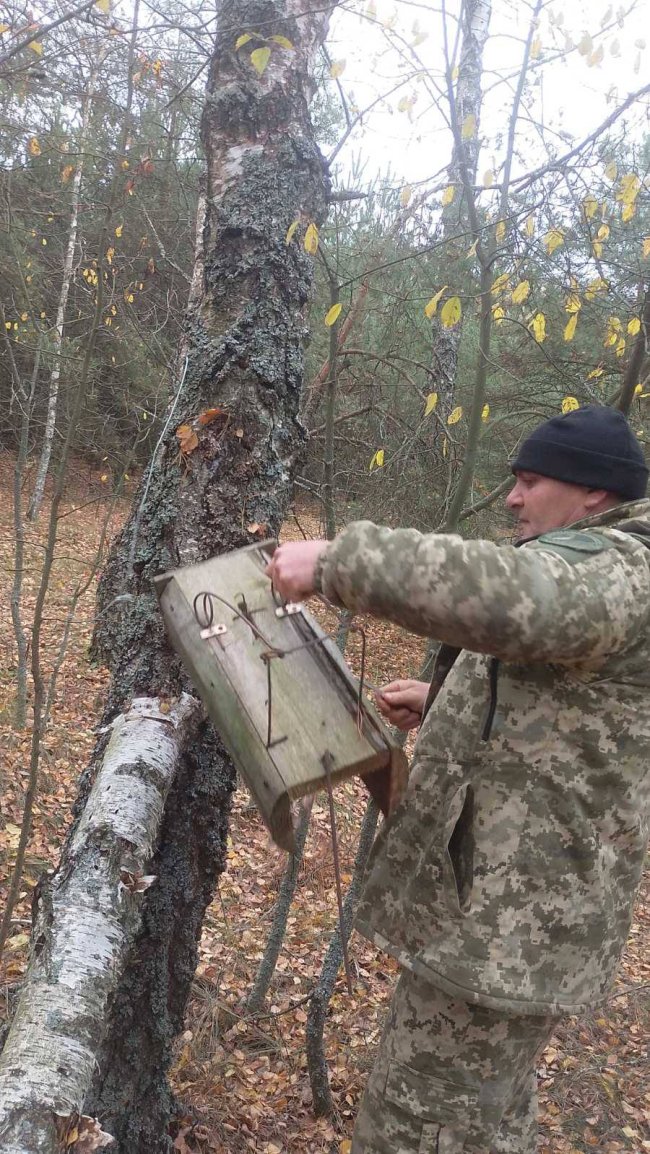 На Волині у нацпарку знайшли пастки браконьєрів. ФОТО