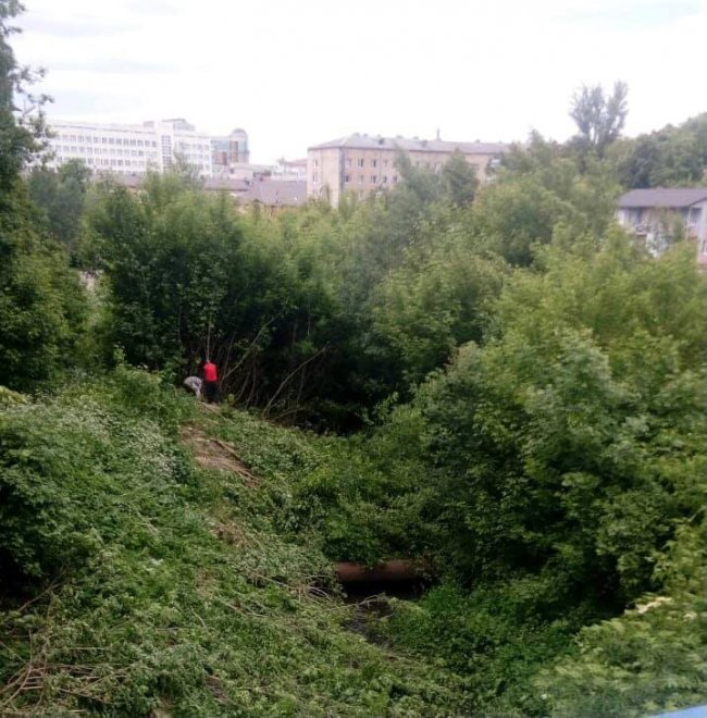 У Луцьку розчищають береги Сапалаївки: видалять більше 200 аварійних дерев 