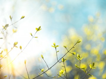 Погода в Луцьку та Волинській області на четвер, 25 квітня