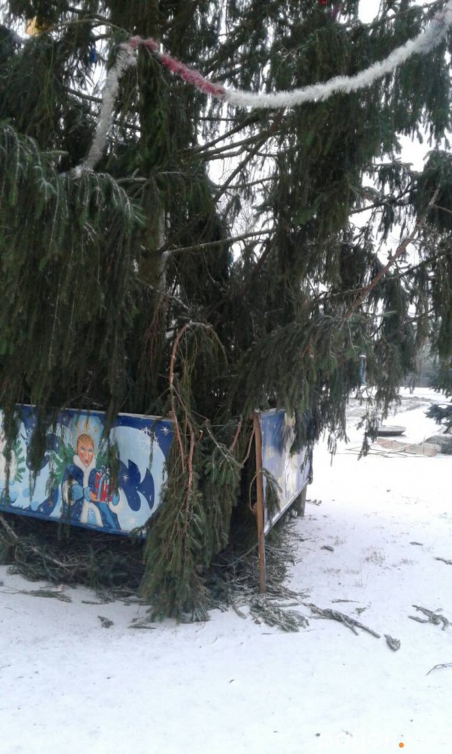 У Шацьку вандали пошкодили новорічну ялинку