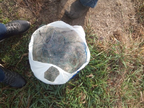 За місяць на Волині зловили півсотні «рибних» порушників