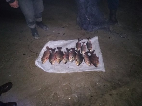 За місяць на Волині зловили півсотні «рибних» порушників