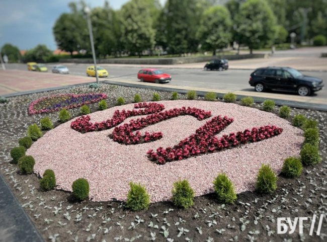 У волинському місті на клумбах висадили патріотичні композиції на честь ЗСУ. ФОТО