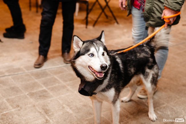 Особливі діджей-сети і запальні танці: яким був другий день фестивалю «Вітраж Вікенд». ФОТОРЕПОРТАЖ 
