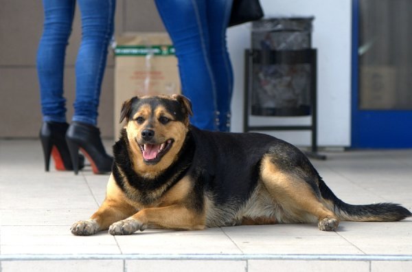 Луцьк вихідний. ФОТО