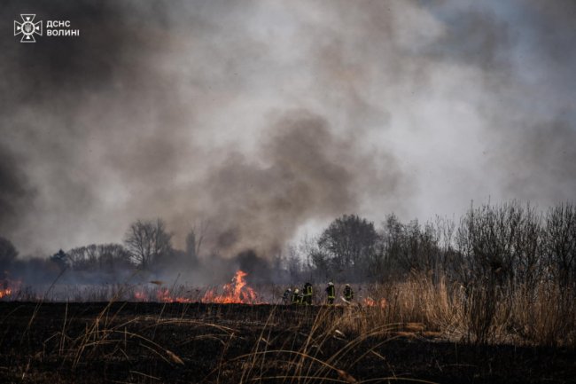 У Луцьку ліквідували масштабну пожежу сухостою на Гнідавському болоті