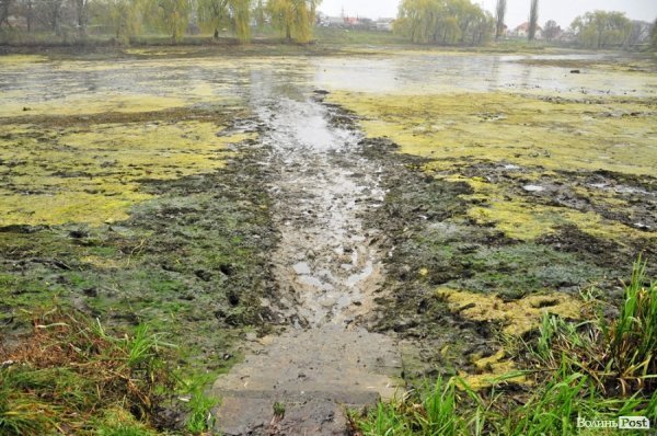 Як чистять ставки в Теремно. ФОТО