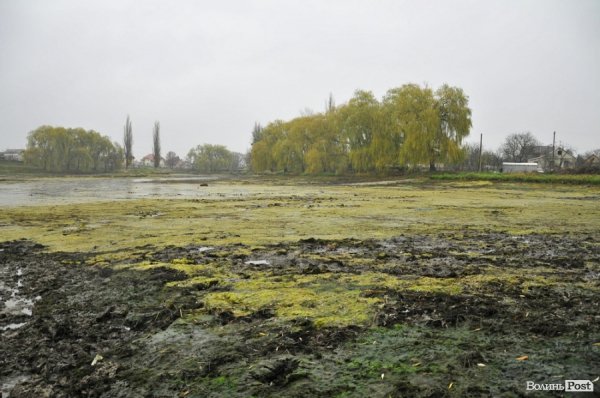 Як чистять ставки в Теремно. ФОТО