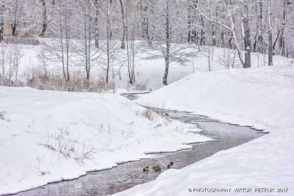 У мережі показали казковий луцький парк під снігом