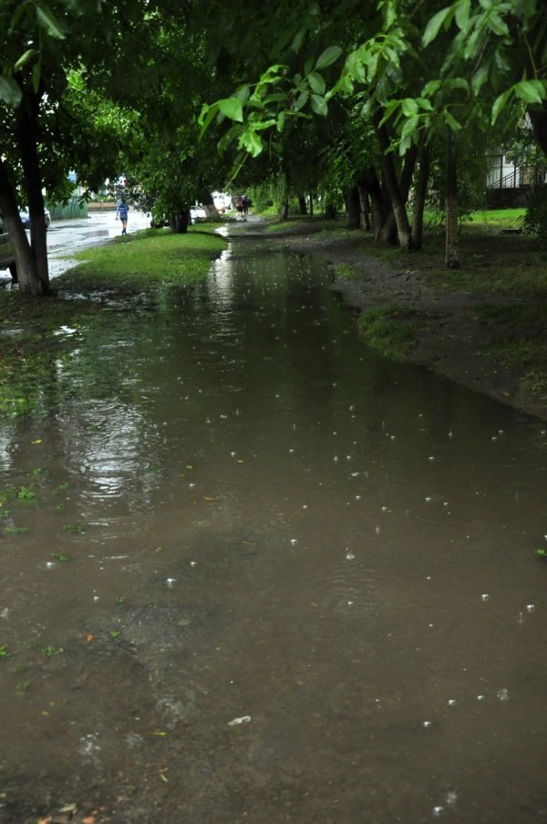 Фото: Антонина Климишина