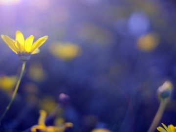 Погода в Луцьку та Волинській області на середу, 16 червня