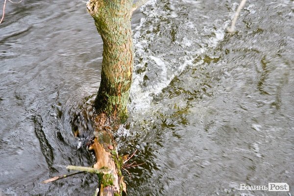 Повінь у Луцьку. ФОТО. ВІДЕО