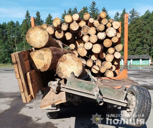 У селі на Волині, де незаконно рубали ліс, люди збунтували проти поліції. ФОТО