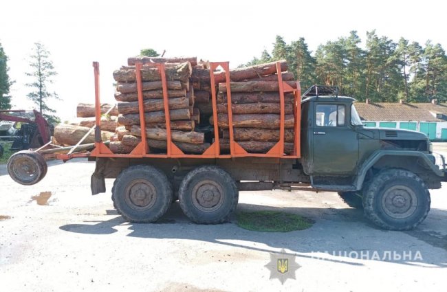 У селі на Волині, де незаконно рубали ліс, люди збунтували проти поліції. ФОТО