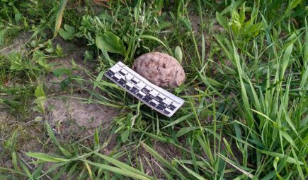 Відлуння воєн: на Волині знешкодили боєприпаси