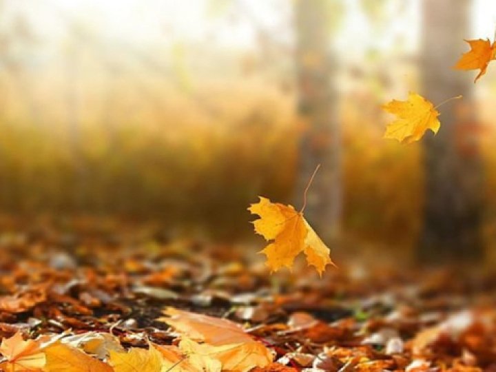 Останні дні жовтня: після дощів і холоду на Волинь прийде потепління